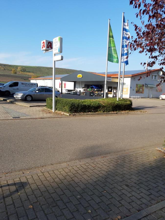 Ferienwohnung Toska Pfaffenweiler Zewnętrze zdjęcie
